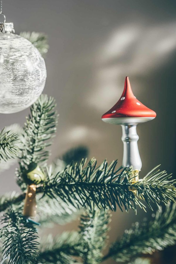 Les astuces pour créer une décoration écologique et responsable